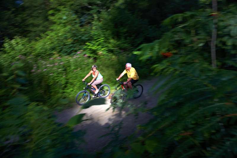 thetford forest cycle hire