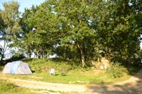 Camper Glade (camper vans)