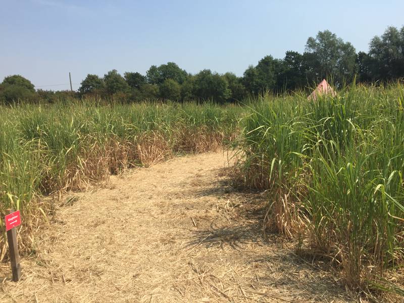 C3 Camping & Caravan Club - Electric