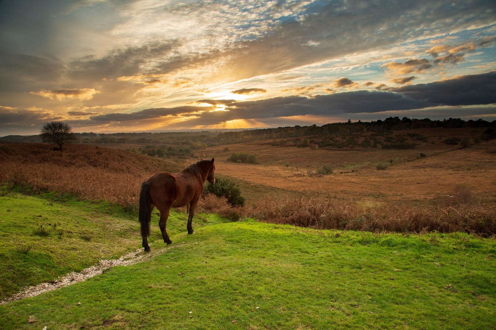 Campsites in South East England – I Love This Campsite
