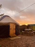 Mugwort Yurt