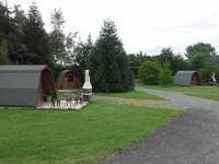 Pet-friendly pod