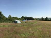 Grass Pitch