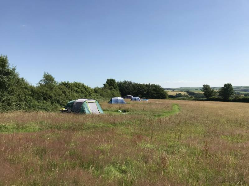 Grass Pitch