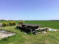The Buzzard Yurt