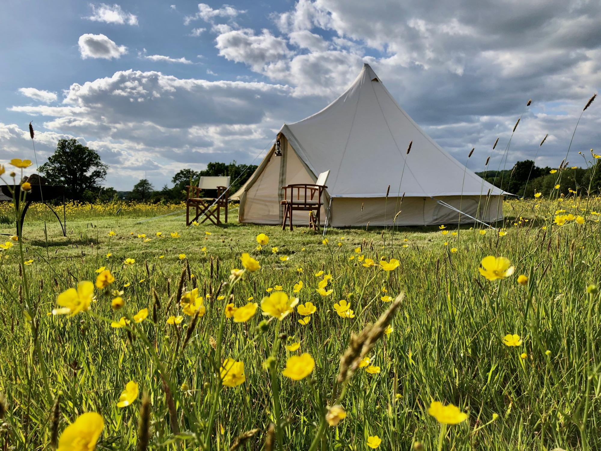 Campsites in Groombridge holidays at Cool Camping