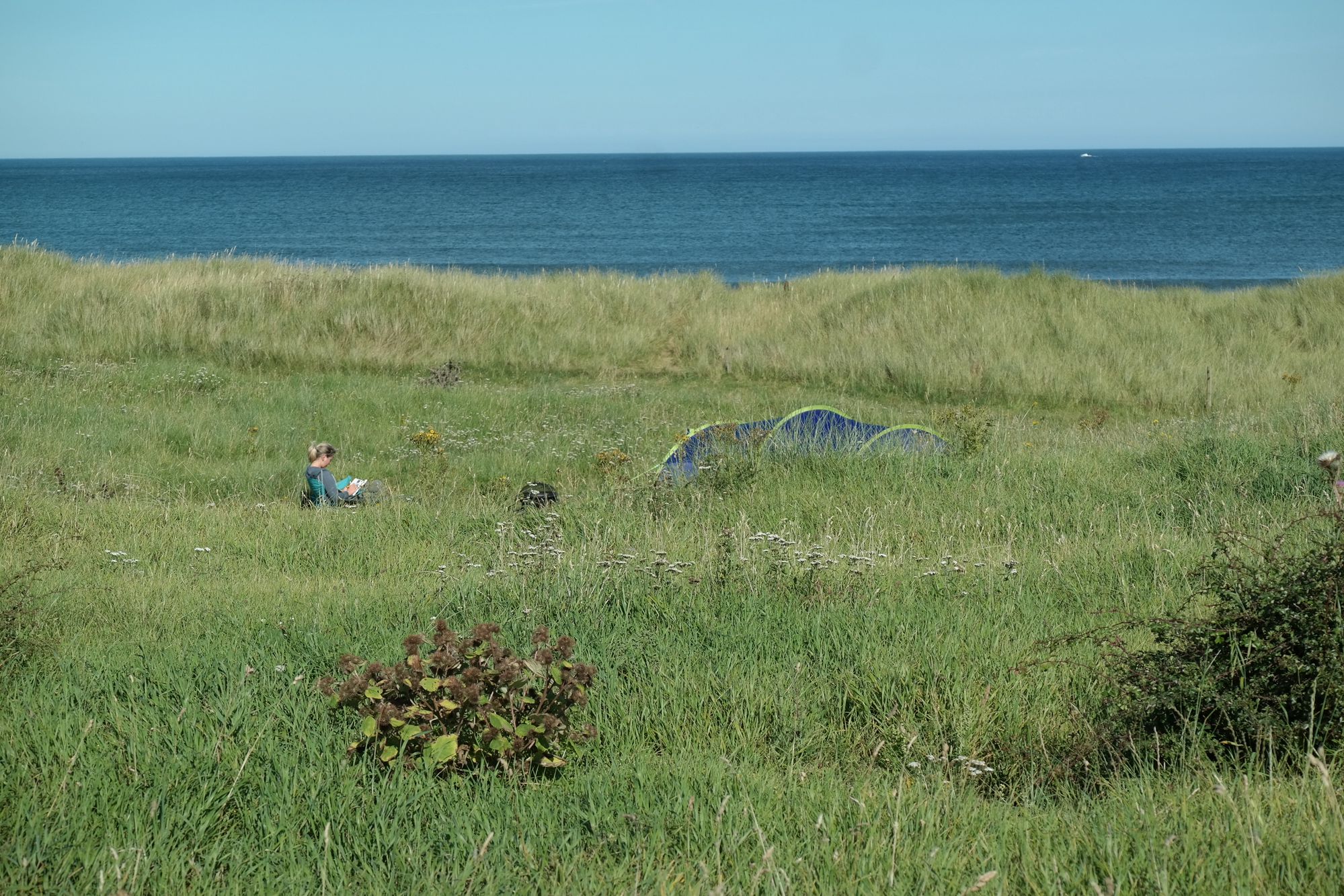 Wild Camping Or Campervan Pitch 1 At Hemscott Hill Farm Cool Camping 12409