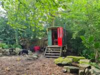 Walkers Wagon. Vargo (Gypsy Caravan)