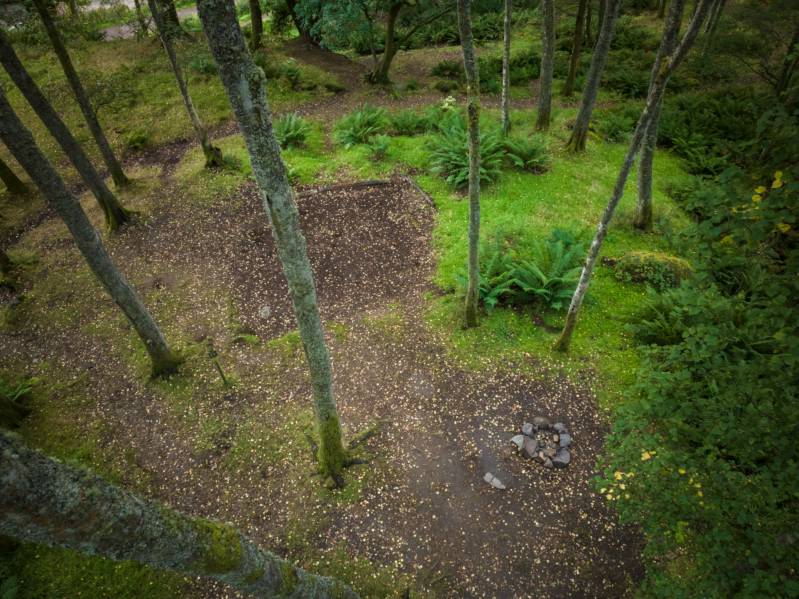 Woodland Tent Pitch 11 (3.5m x 3.5)