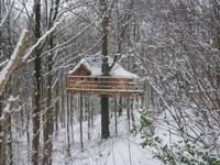 Treehouse glamping in a Normandy woodland