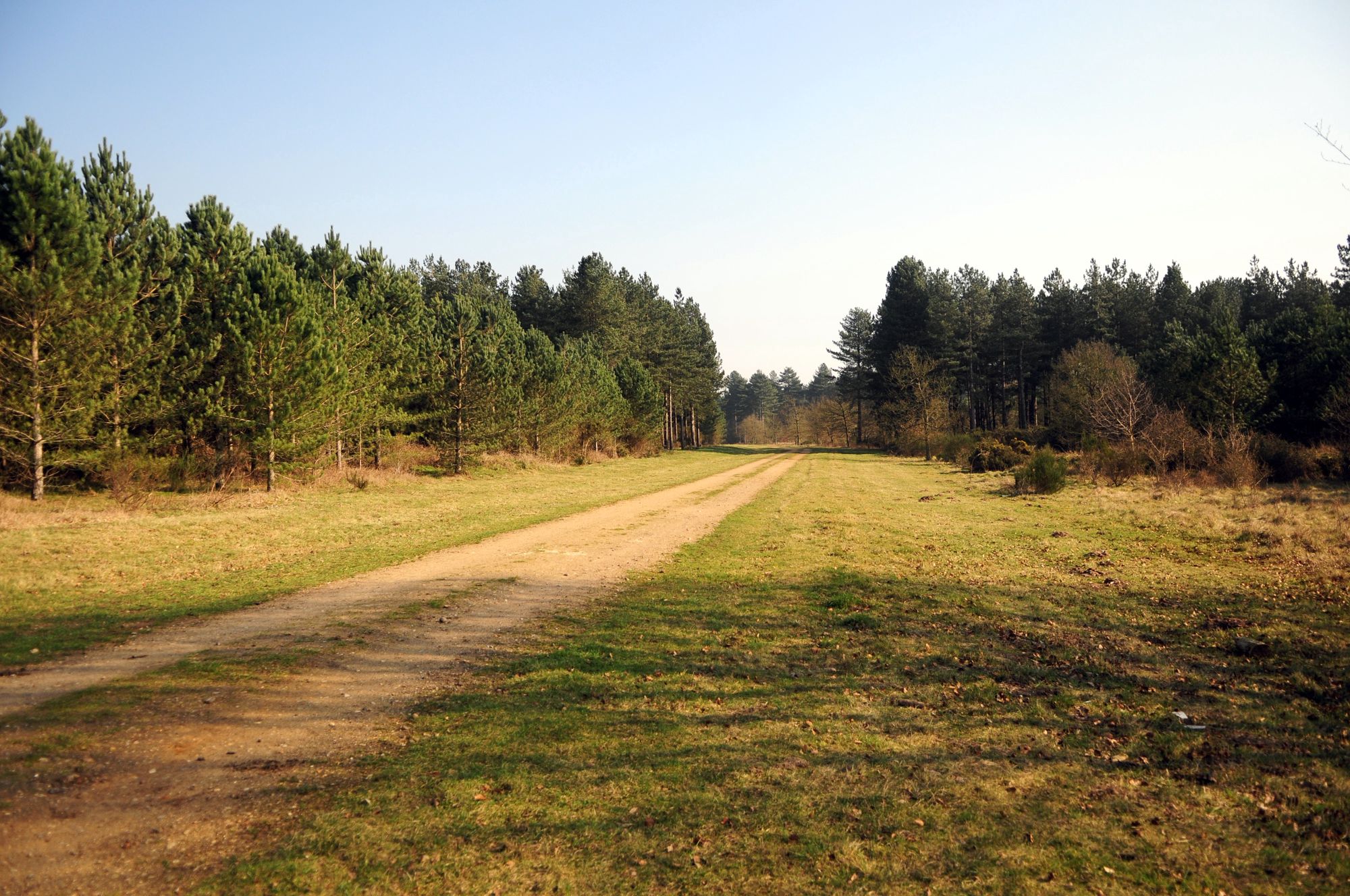 Kings Forest Caravan Park Suffolk