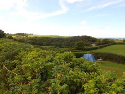 With its roots planted firmly in the hills and not by the sea, Gwaun Vale opens your eyes to a new way to explore the beautiful Pembrokeshire landscape. Pack your dog. Walkies anyone?