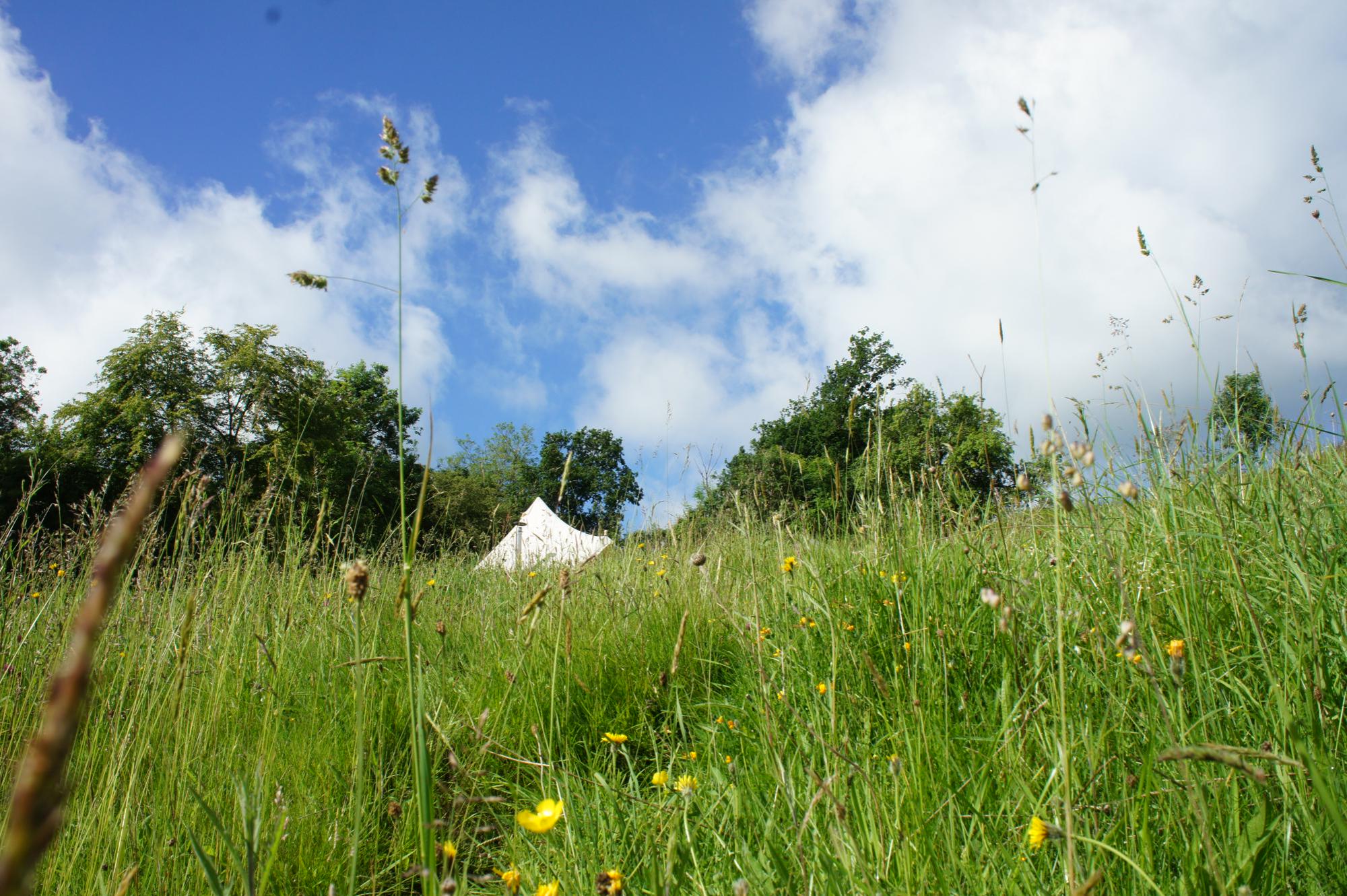 Bewdley Camping | Campsites in Bewdley, Worcestershire