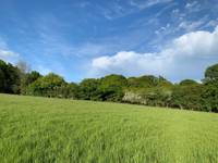Hawthorn Grass Pitch 1