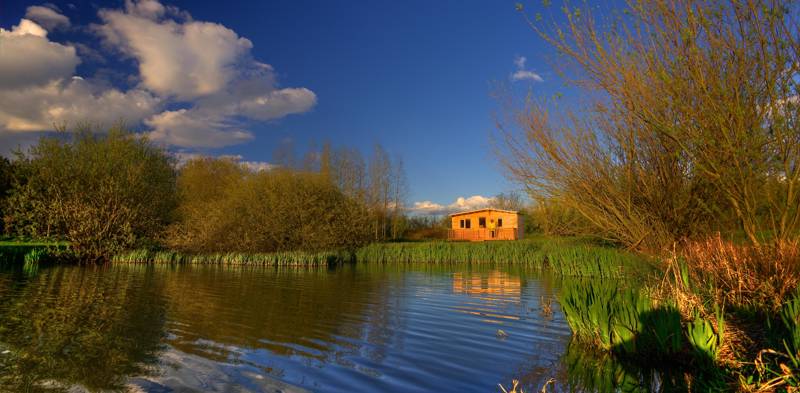 Lakeside Nuthatch Cabin