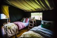 The Ivy Lodge