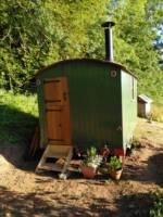 Willow Hut