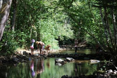 La Petite Maison Cottage