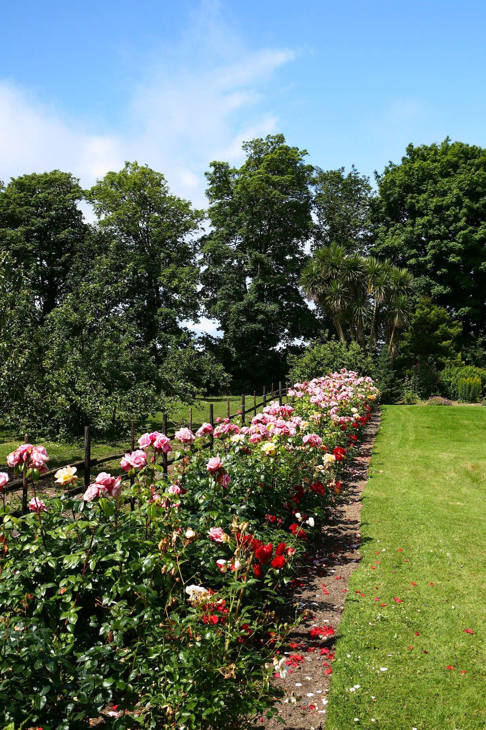 Campsites in Tipperary holidays at Cool Camping