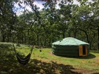 Forest yurt