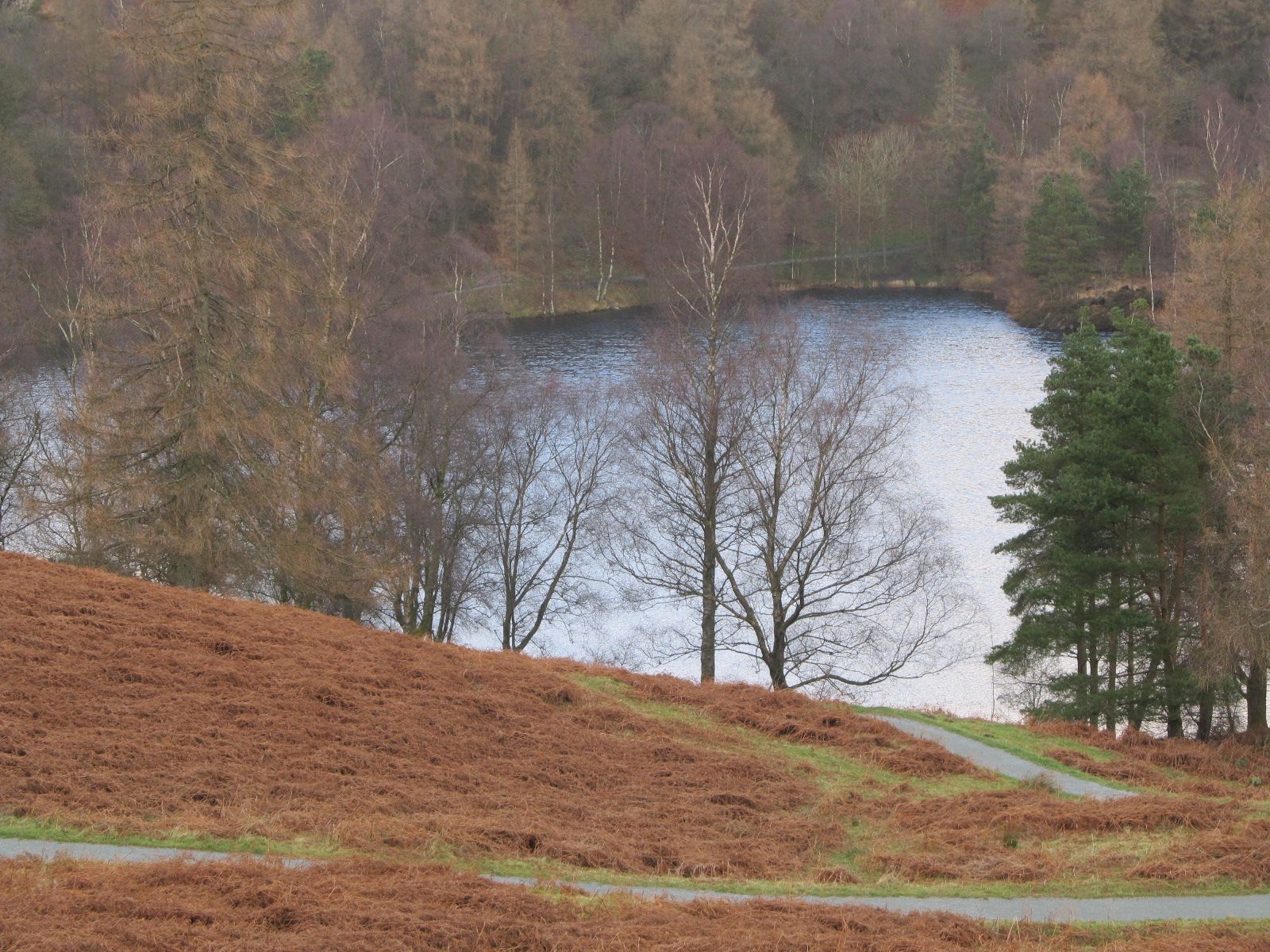 Tarn Hows, Cumbria 