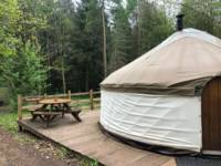 Woodpecker Yurt