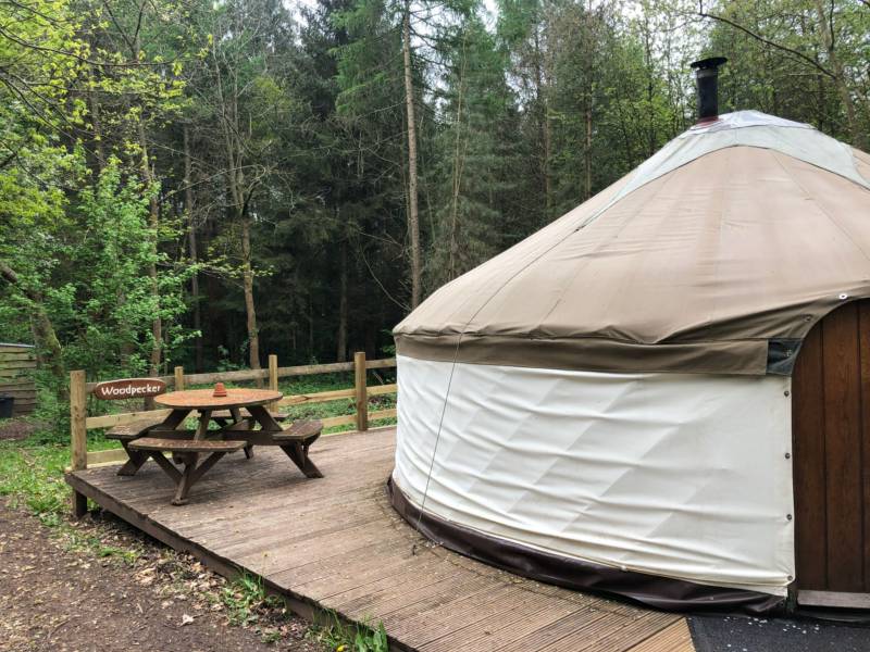 Woodpecker Yurt