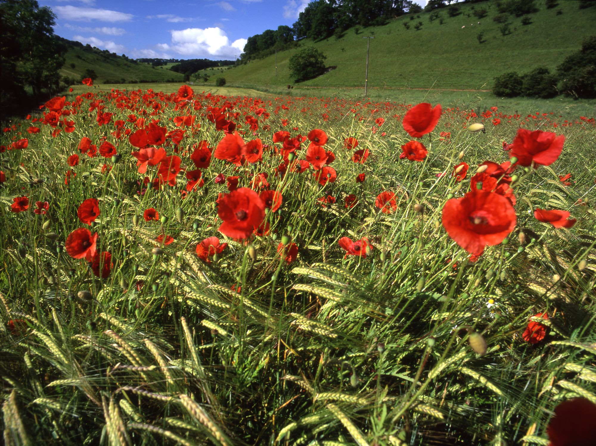 Hotels, Cottages, B&Bs & Glamping in East Yorkshire - Cool Places to Stay in the UK