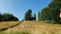Willow View - Nearly-wild, woodland pitch