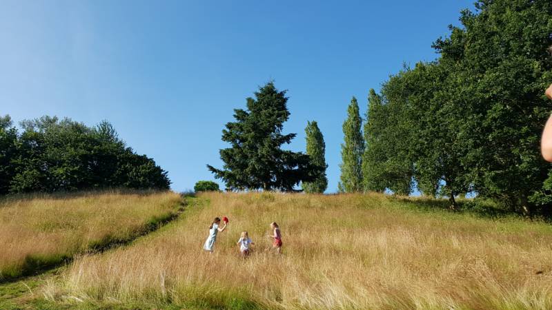 Willow View - Nearly-wild, woodland pitch