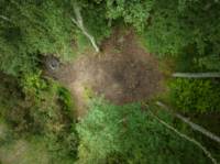 Woodland Tent Pitch 4 (3.5m x 3.5m)