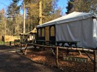 Woodland Tent