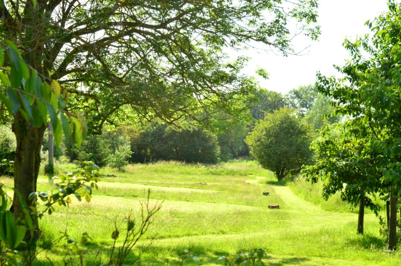 Tent Pitch with fire pit - Truffle Hunter