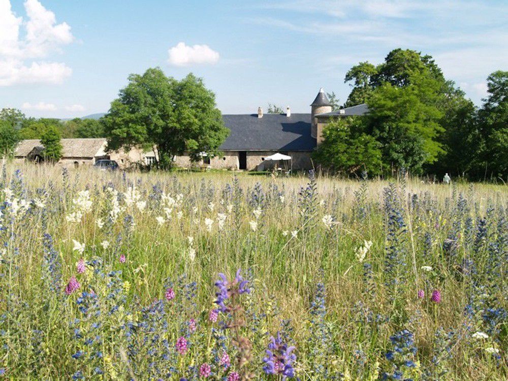 Campsites in Gard holidays at I Love This Campsite