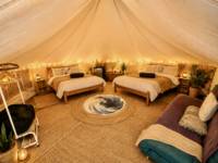 Barn Owl Bell Tent