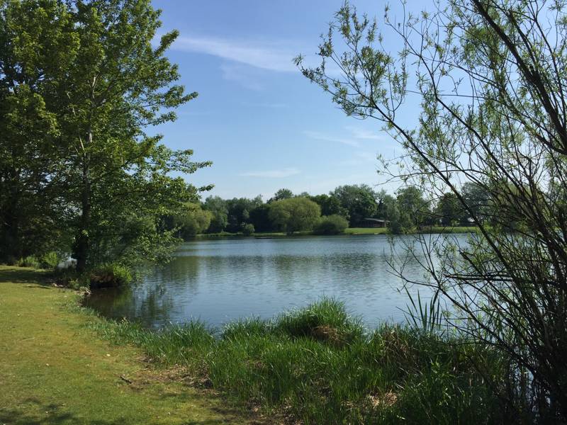 W12 Non Members Grass Pitch