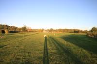 Grass electric pitch C1