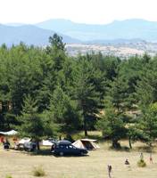 Grass Pitch Grand Terrain