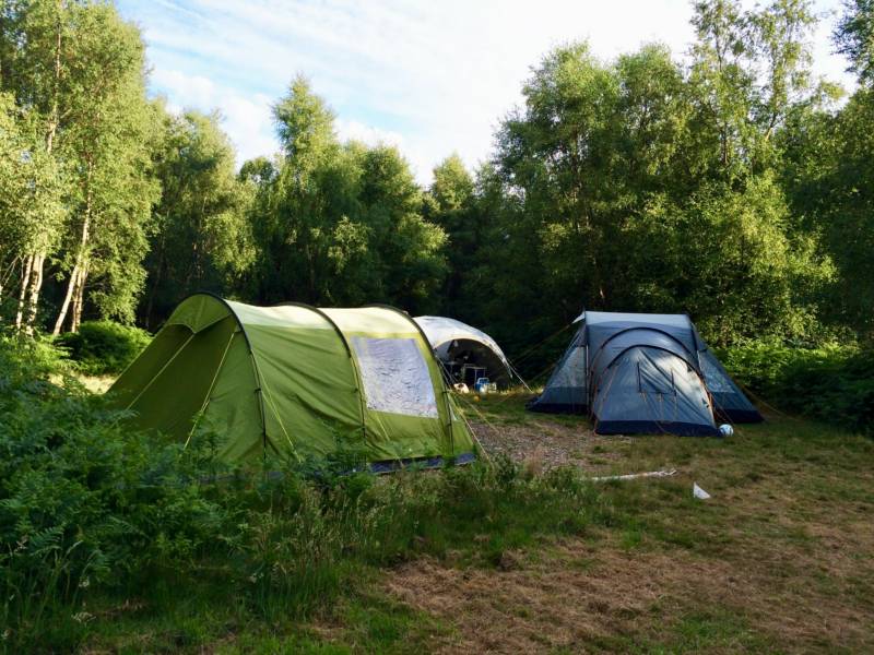 Group Forest Tent Pitch