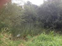 Yalding Wild Camping