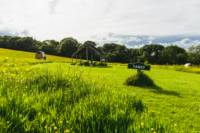Tansy - Ensuite Grass Pitch