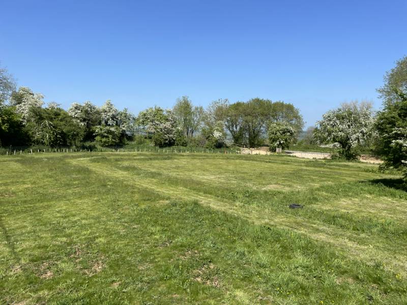 Grass Pitch 7