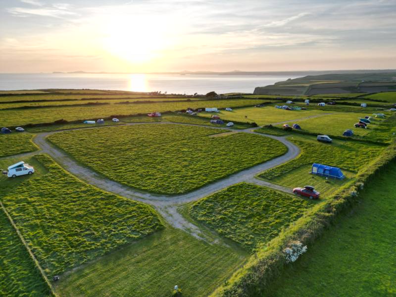 Buzzard Grass Pitch (electric)