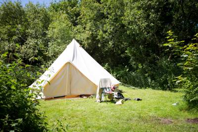 Bluebell Bank - Wild Camping - Private Pitch