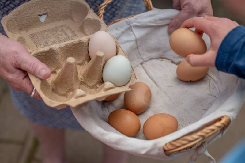 Silverbird Airstream Caravan