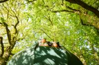 Tree Tent