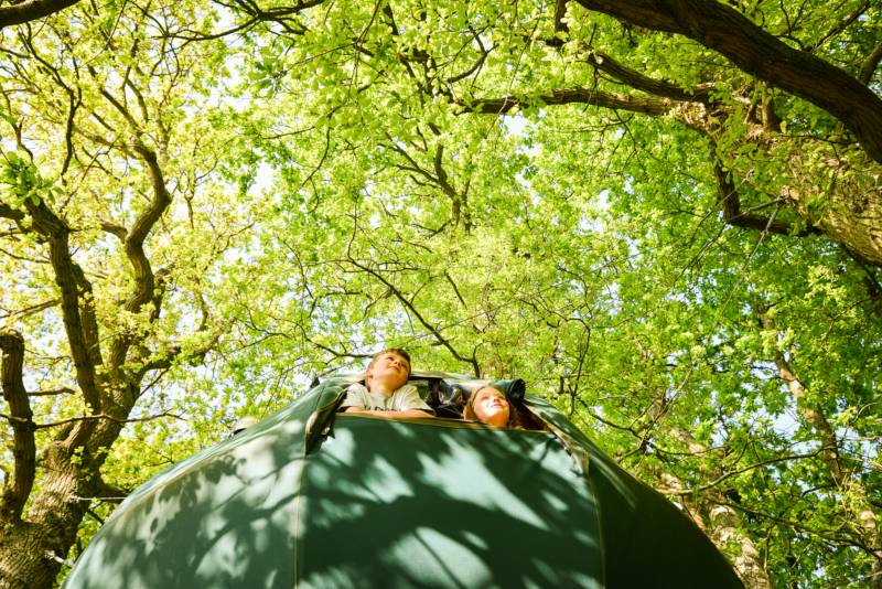 Tree Tent