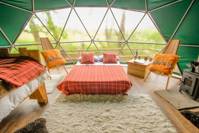 Spacious Dome Oak