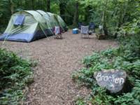 Bracken Woodland Pitch