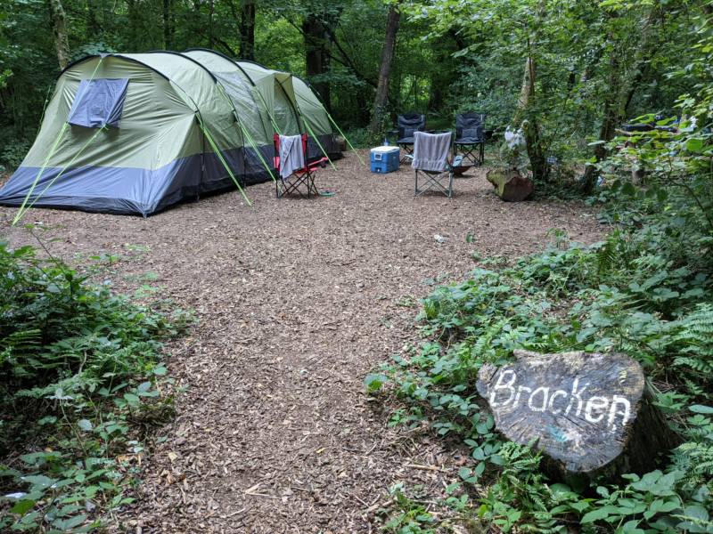 Bracken Woodland Pitch